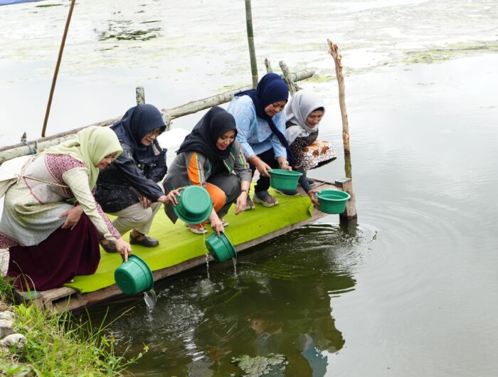 Pj Ketua Pkk Sulsel Tebar Benur Udang Vaname Dan Tanam Pisang Cavendish