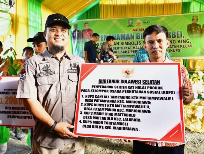 Target 154 Ribu Batang Di Wilayah Bosowasi Dkp Sulsel Tanam Mangrove Di Desa Polewali Bone